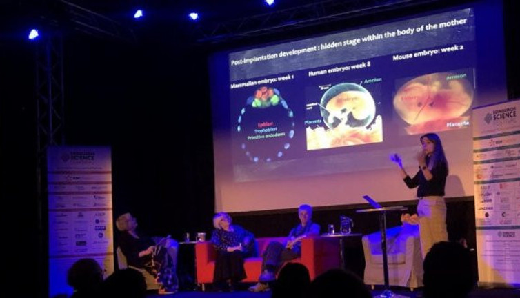 Türk bilim insanları başardı: Birçok hastalığın tedavisinde işe yarayacak