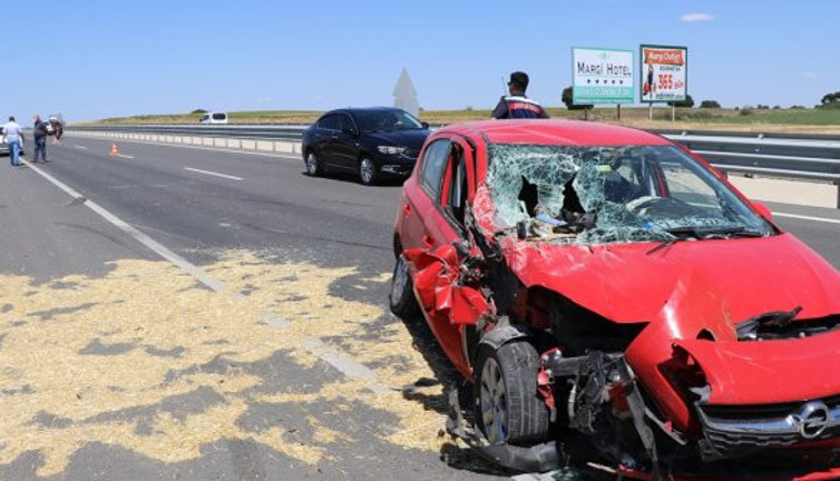Soyadı arıcı olan şoför arıdan korkunca kaza yaptı