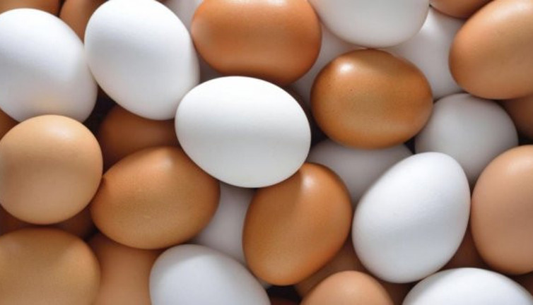 İşte yumurta kolisindeki 0-1-2-3 rakamlarının anlamı