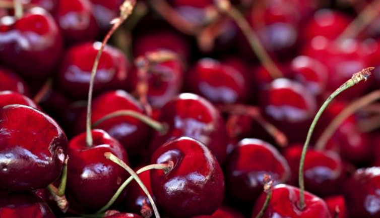 Cumhuriyet tarihi rekoru… Kirazda yeni rekor sezon bitmeden geldi