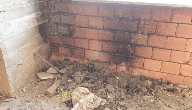 Bu kadar canilik olmaz! Önce kedinin gözlerini oydular