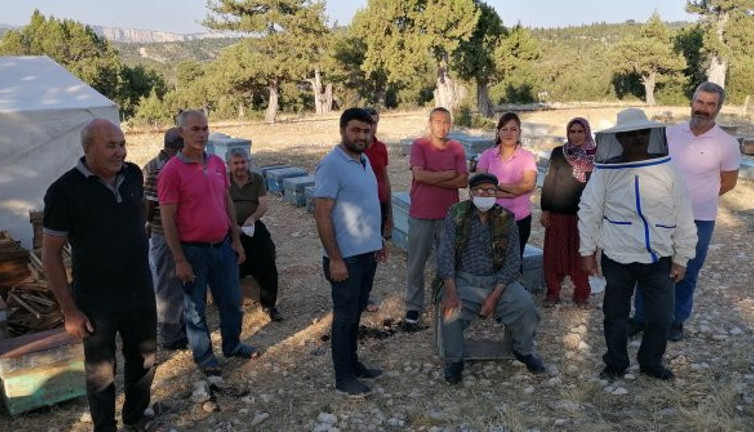 Arılara sinek ilacı sıkıp, balları çaldılar