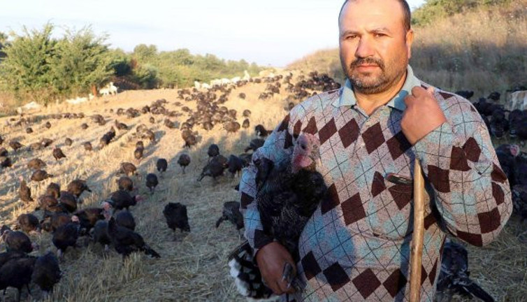"Oooooooo" diye bağırması yetiyor! Hindilerle konuşun adam