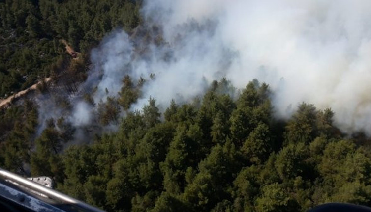Burdur'daki orman yangınının çıkış nedeni belli oldu