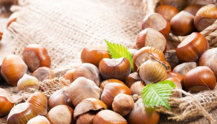 Fındık fiyatı açıklandı mı? Fındık fiyatları ne kadar oldu? Cumhurbaşkanı Erdoğan 2020 fındık fiyatlarını açıkladı