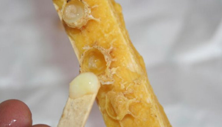 Bal, yoğurt, zeytin, kaşar, margarin... İçinden çıkanlara hayret edeceksiniz