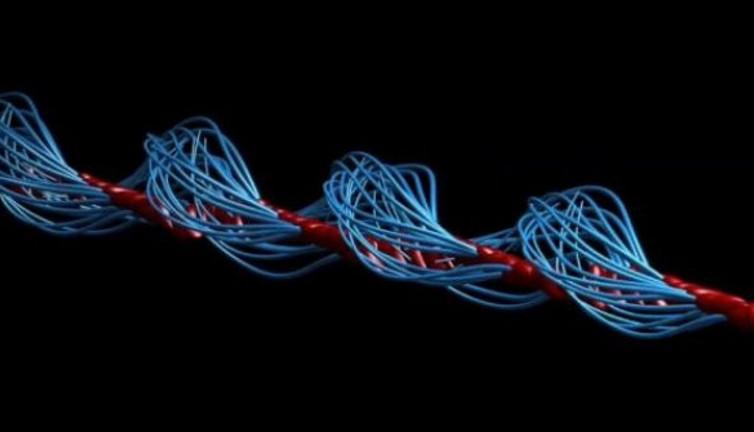 Spermlerin hareket yönü belirlendi, 340 yıllık bilgi değişti