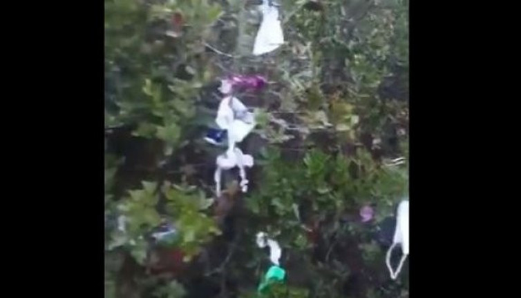 Büyükada’daki Aya Yorgi Tepesi'nde büyük rezalet: Dilek ağacına neler bağladılar neler!