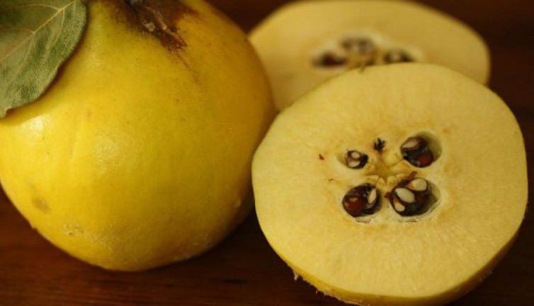 Kilo verdirmede en etkili 10 diyet! Hızla zayıflatıyor iştahı anında kesiyor!