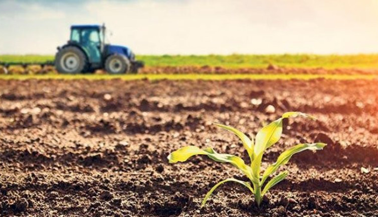 Tarım ve Orman Bakanlığı'ndan kritik rapor!