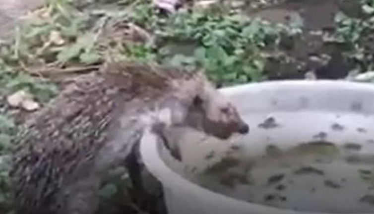 Ünlü gazeteci Büyükada’da çekti! Yaşasın iyi insanlar kahrolsun kötü insanlar