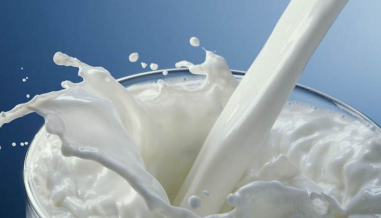 Süt ile ilgili çarpıcı araştırma: Daha sağlıklı olanı duyurdular