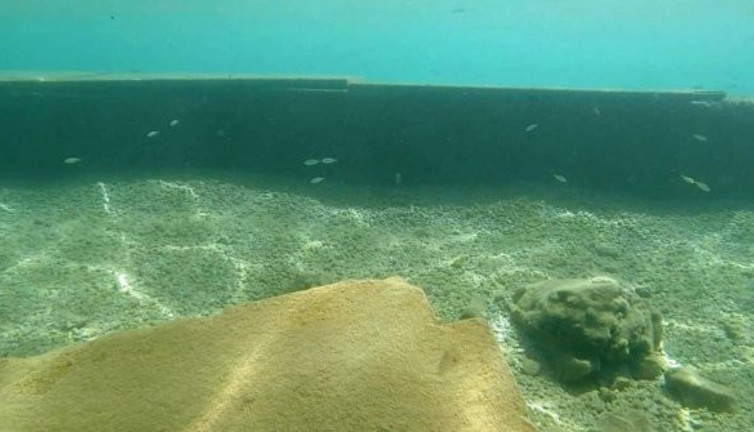 Bodrum’da büyük soruşturma... Yeniçağ yazdı, Çevre ve Şehircilik Bakanlığı harekete geçti…