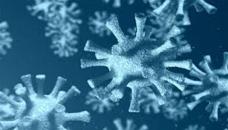 Kekikteki mucize ile koronayı yendiler: Aile boyu iyileştiler!