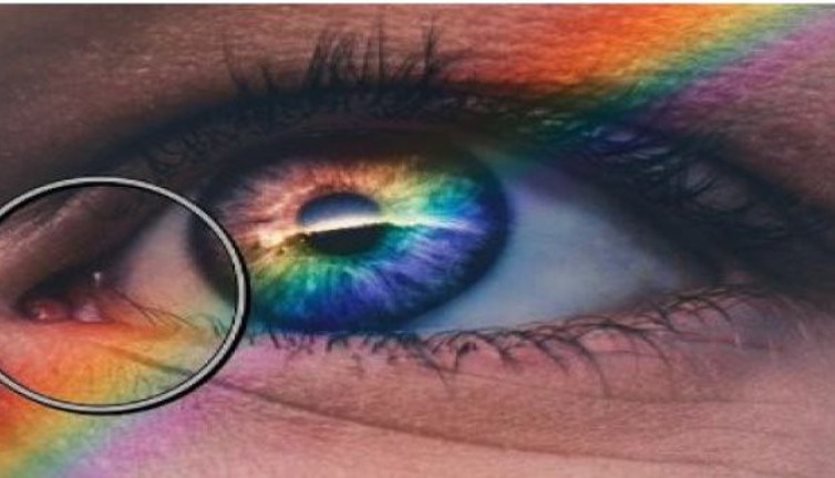 İnsanoğlunun geçirdiği evrimin kanıtı! Vücudumuzda yer almasına rağmen işlevini yitirmiş kısımlar