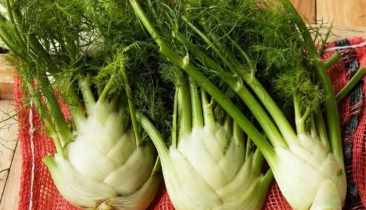 Emziren annelere 10 özel besin! Şifa kaynağı! Sayısız fayda sağlıyor