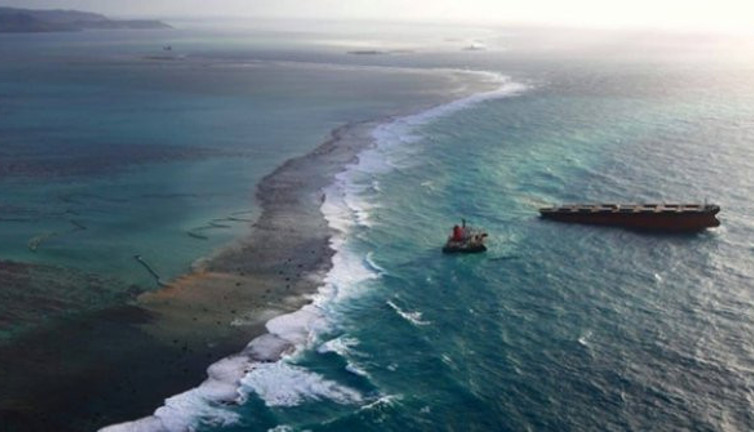 Mangrov ormanlarını yok olabilir! Gemiden petrol sızmıştı