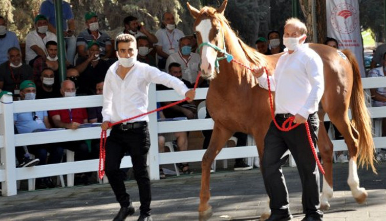 Açık artırmada ev fiyatına tay