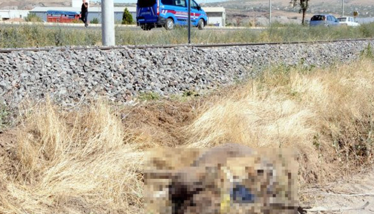 Eşeğin üstünde 2 çocuk vardı! Eşeğe yük treni çarptı! Çok feci olay