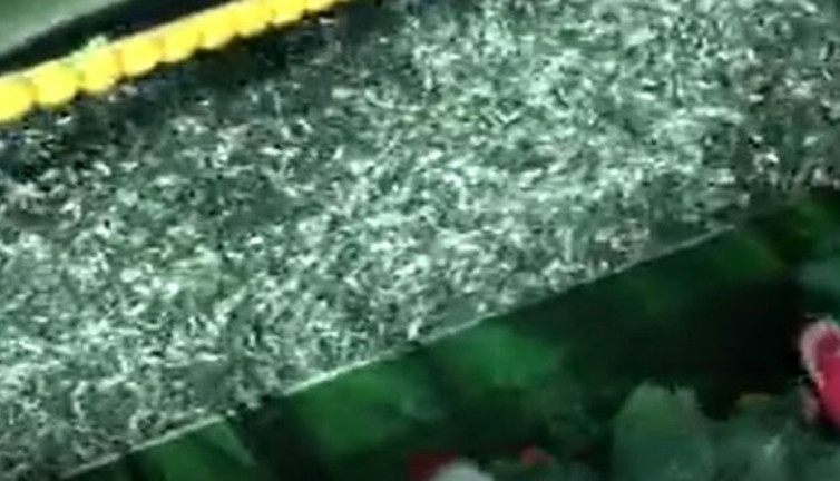 Ağlar balıkla dolup taştı! Vatandaş bu sene balığa doyacak