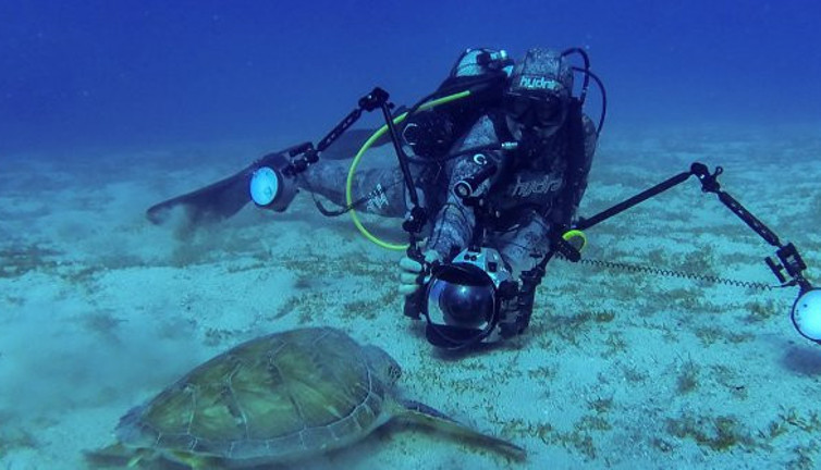 Dalgıçların 3 bacaklı hürrem keyfi! Chelonia mydas büyülüyor