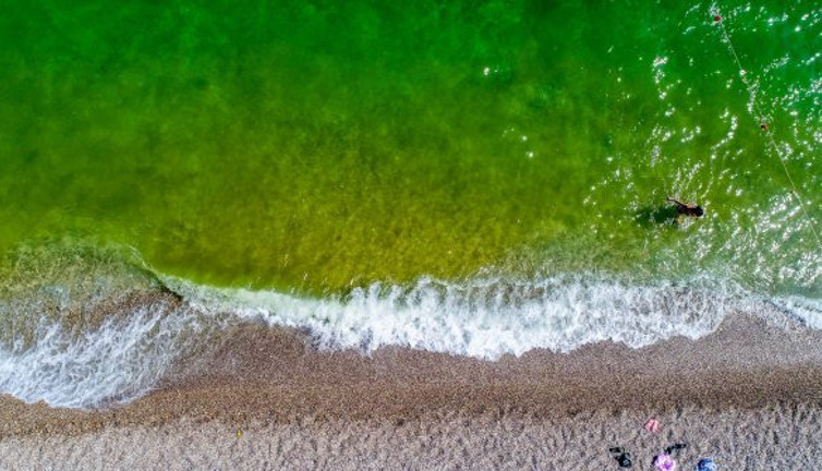 Masmavi deniz yeşyeşil oldu! Konyaaltı'nda korkutan görüntü