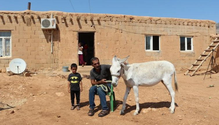 Taksiti ödeyemezse eşeğinden olacak! Onun için son model lüks araçtan farksız