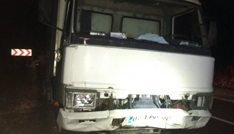 Antalya'da katliam gibi kaza! Çok sayıda küçükbaş hayvan telef oldu