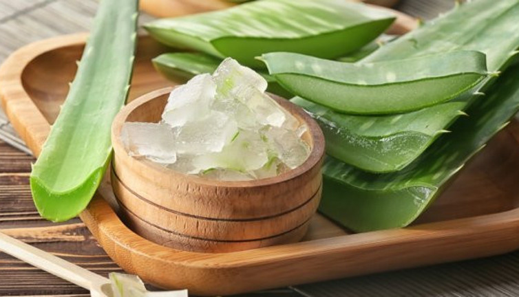 Bağışıklığa mucize şifa: Aloe vera! Sonbahara özel gıda takviyeleri