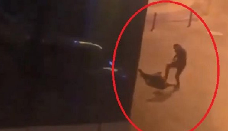 Yaşlı adama meydana dayağı