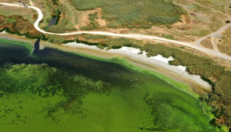 Her şey daha da kötü olacak... Tedirgin eden ortalama