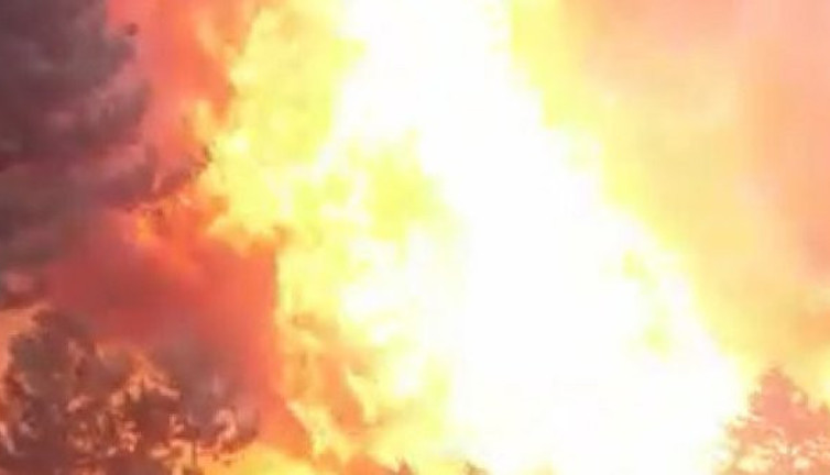 Çorum'da ormanlar alev alev