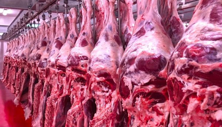 Ürünlerinde at eti çıkan kasap ve lokantadan güldüren savunma! Pişkinliğin bu kadarına pes