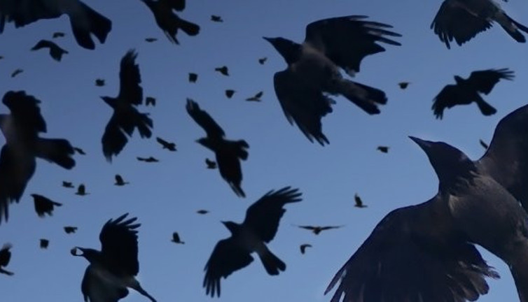 Gökyüzünde kıyamet koptu! Kabusu yaşadılar