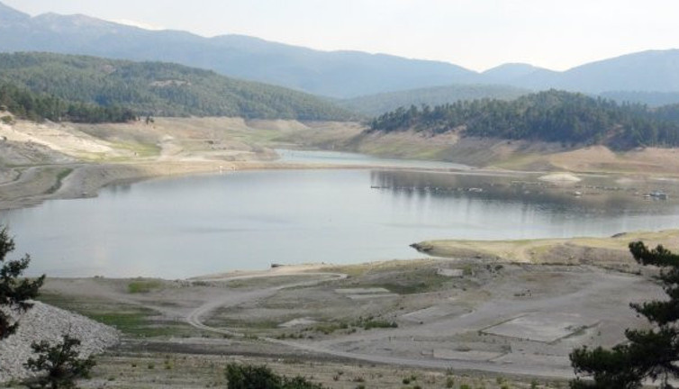 Yanyana yüzlercesi çırpına çırpına öldü! Görenlerin yürekleri parçalandı