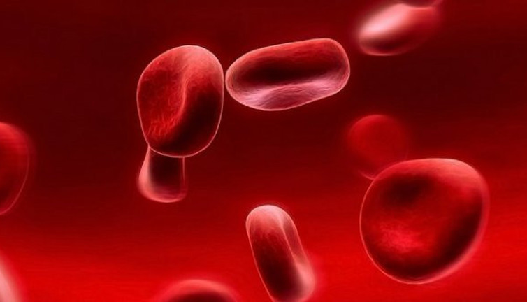 RDW nedir? RDW düşüklüğü ve yüksekliği ne anlama gelir?