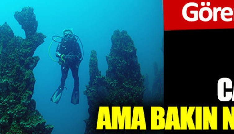 Van Gölü’nde canavara değil ama bakın neye rastlandı