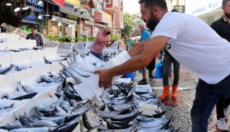 Vatandaşın yüzünü palamut güldürdü. Adedi 700 gram geliyor