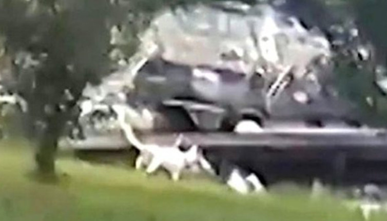 Göle yaklaşan çoban köpeği timsaha yem oldu. Lüks villadaki dehşet anları kamerada