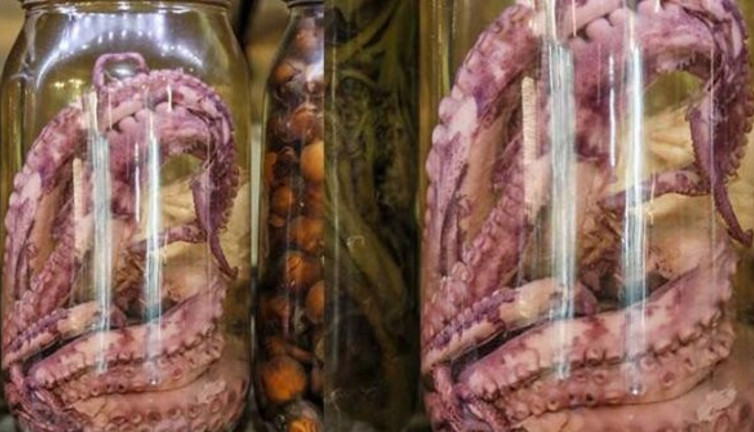 Ahtapot turşusu yok satıyor, Türkiye’de kimsenin aklına gelmeyeni yaptı şimdi paraya para demiyor