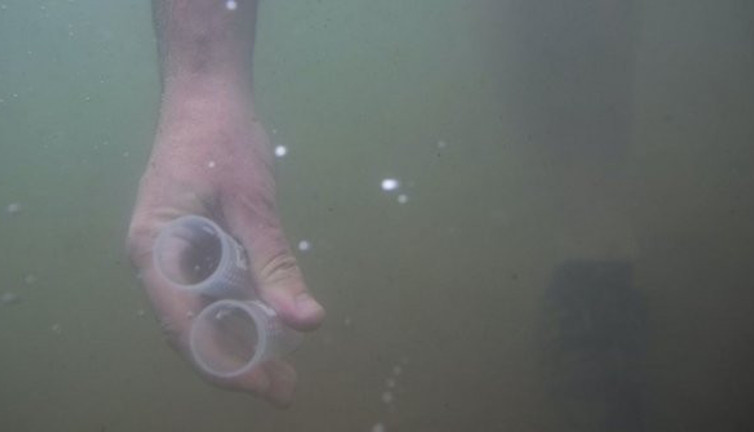 Bu gölde kulaç atanlar virüs kapıyor. Tahlil sonuçları korona alarmı verdi. Uyarı üstüne uyarı yapıldı