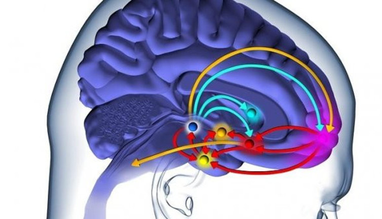 Beyin pillerinin ömrü uzadı