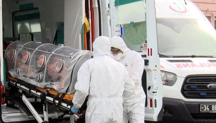 İşte koronayı yayan hayvan. İngiltere'de yapılan son araştırma şok etti