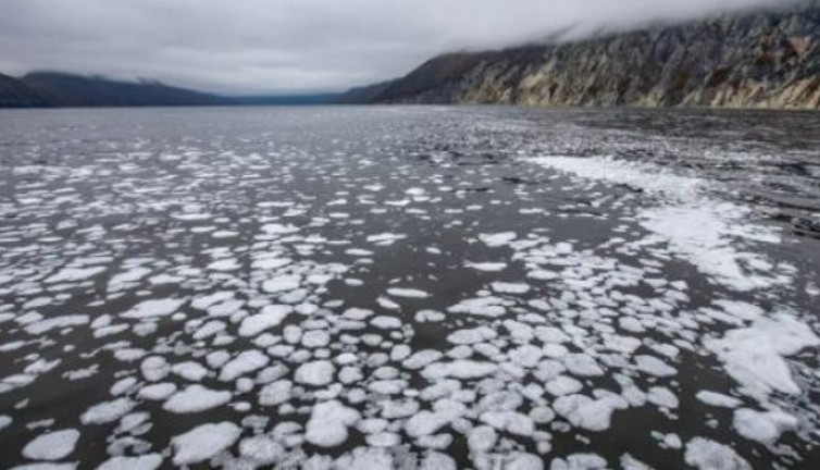 Hiçbir canlı dayanamıyor. Teker teker ölüyorlar. Denize giren turistlerin bile derisi yanıyor
