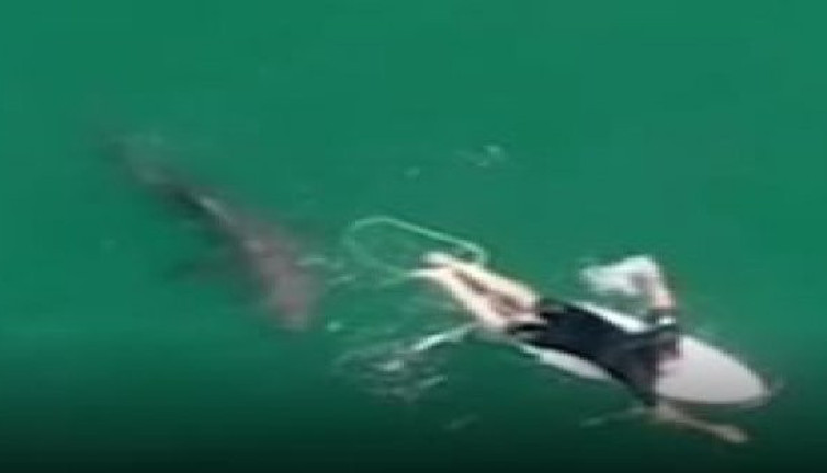 Ayağındaki o şey sörfçüyü kurtardı. Köpek balığı korkup böyle kaçtı