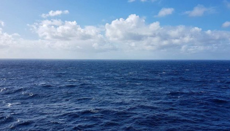 Çizgili balinaların nesli tükeniyor. 40 ülkeden acil çağrı geldi