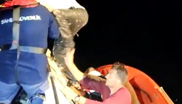 Gemlik'te yaşama tutunuş