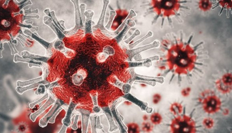 Koronayla mücadelede çığır açacak buluş. Türk şirketinin büyük başarısı