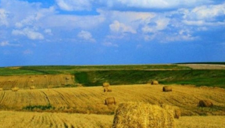 Tarımsal üretimleri tek tek inceleyip çiftçiye bilgi verecek. Artık robotlar yapacak. Bu sefer Ziraat Mühendisliğine soyundular