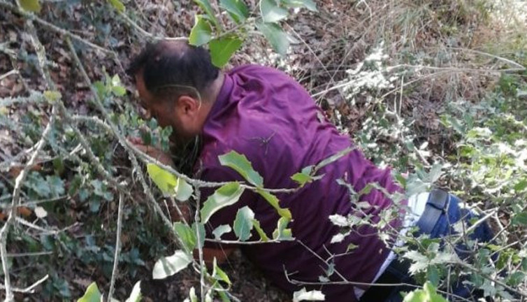 Ormanlar kralını jandarma yakaladı